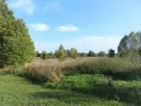 Продажа земельного участка  25 соток ЛПХ, Тверская область