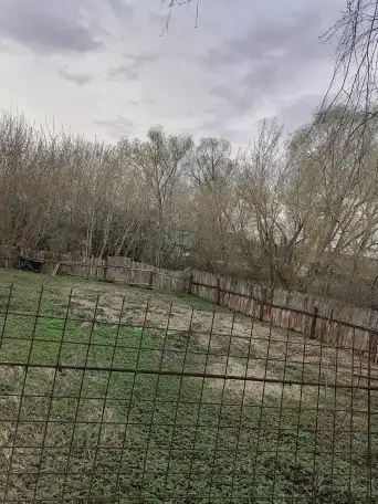 Земельный участок в красивейшем Подмосковье, фотография 2